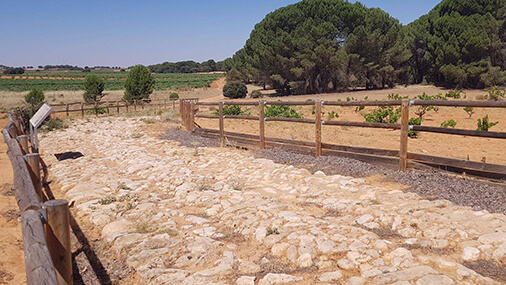 roman road los calzadas tinacula